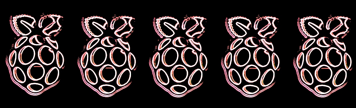 Logo des Raspberry Pi